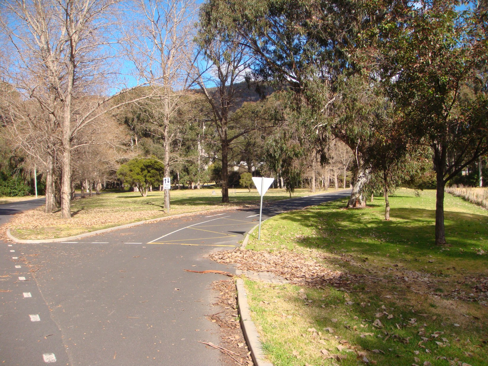 Trees in Kandos a Vision for the Future – Kandos History